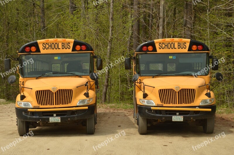 America Bus Schoolbus School Yellow