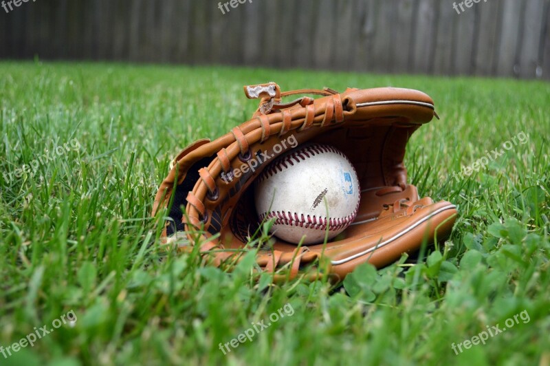 Baseball Glove Ball Grass Yard