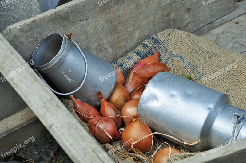 Onions Milk Pot Wheelbarrow Farm Kitchen