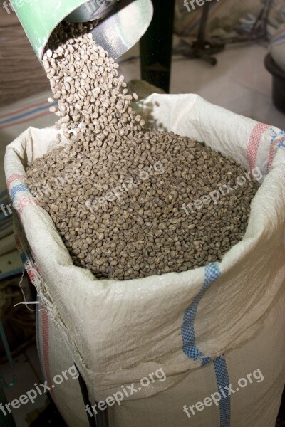 Coffee Beans Raw Brown Sack Bag