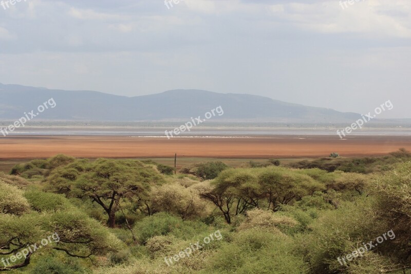 Plain Safari Landscape Light Nature