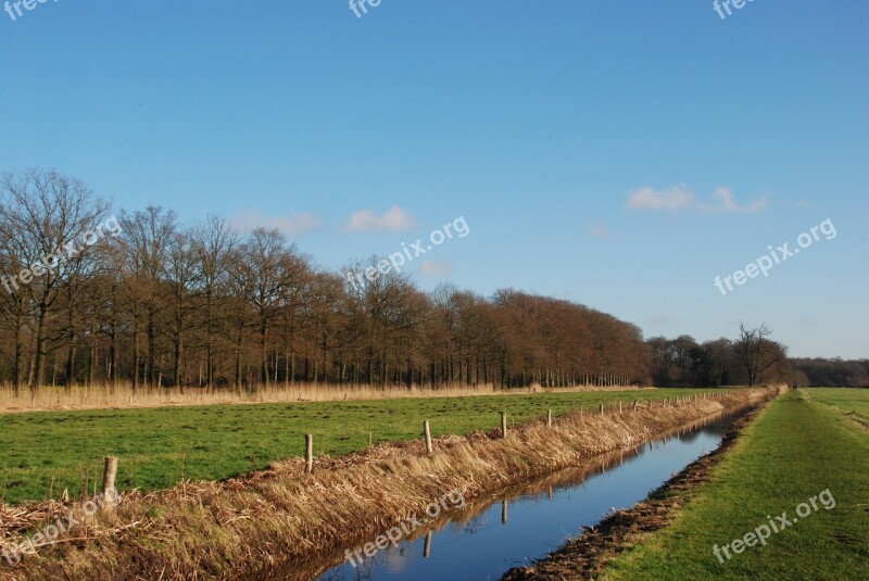 Landscape Nature Water Spring Grass