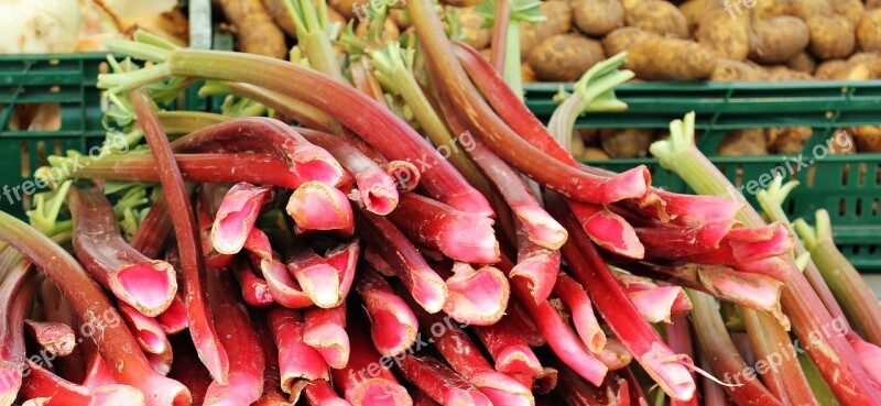 Rhubarb Farmers Local Market Market Market Stall Food