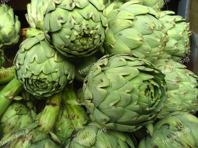 Artichokes Vegetable Nature Free Photos