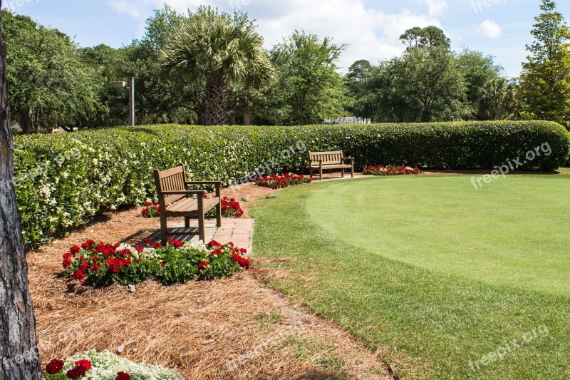 Golf Putting Green Green Golf Course Course