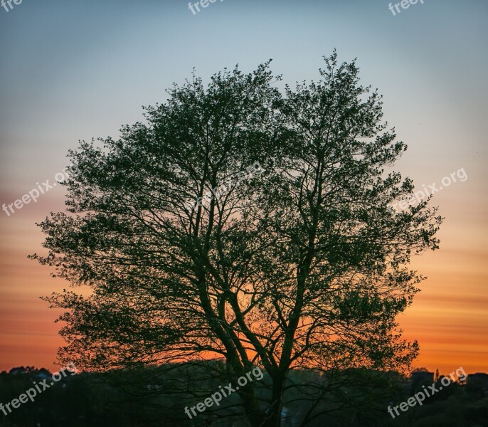 Sunset Evening Orange Sky View