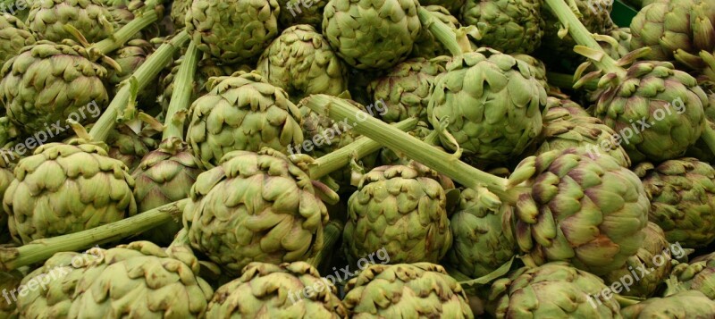 Artichokes Vegetable Nature Free Photos