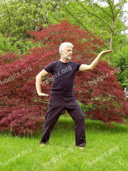 Tai Chi Taiji Qigong Qi Gong Chi Kung