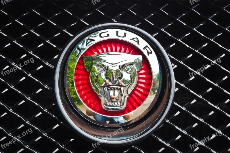 Jaguar Auto Automotive Vehicle Sports Car