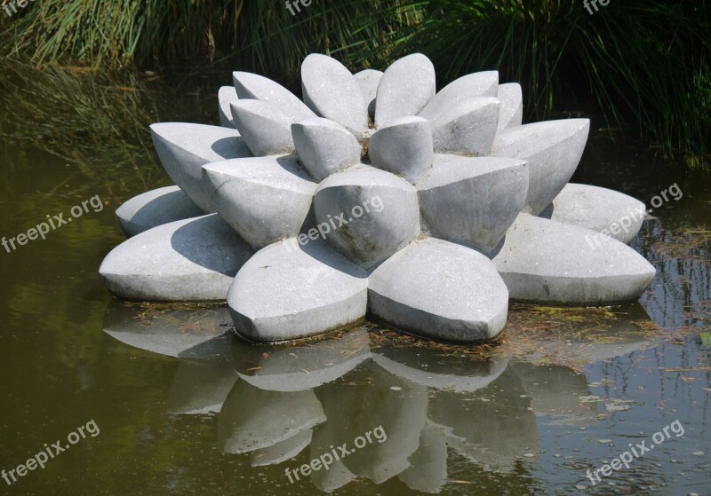 Water Lily Stone Sculpture Mirroring Hell