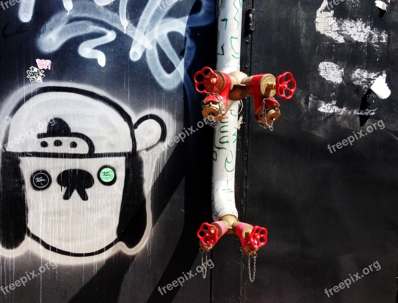 Tag Graffiti Street Art Urban Hydrant