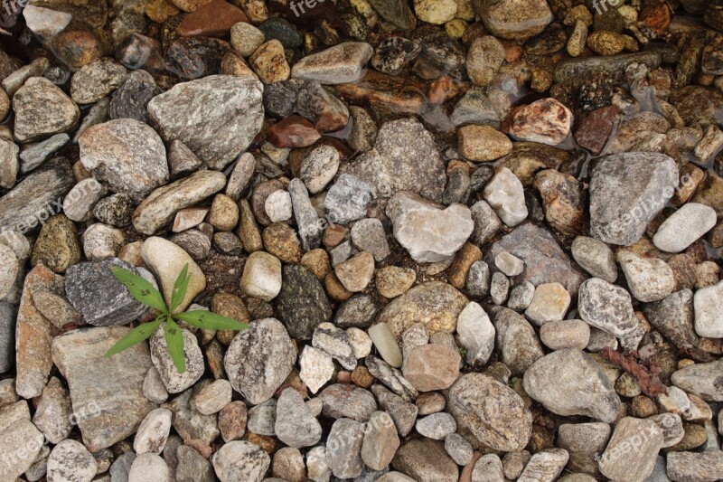 Gravel Leaf Pool Valley Background