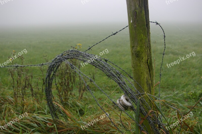 Barbed Wire Pole Rot Hollow Board