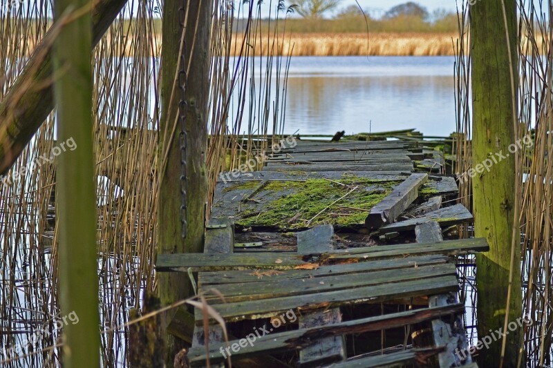 Jetty Decay Old Lake Reed