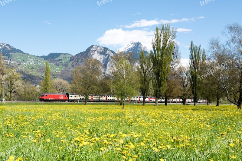 Spring Switzerland Landscape Glarus Trees