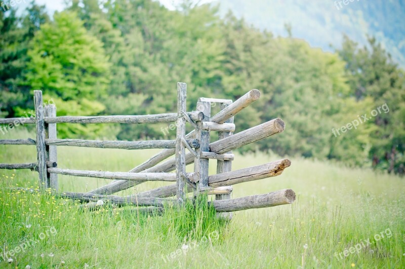 Pasture Fence Pasture Fence Meadow Wooden Posts