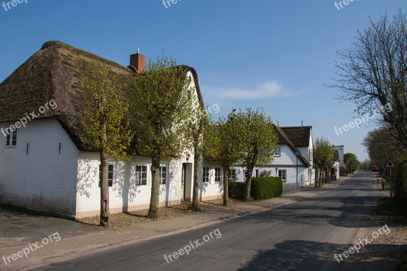 Friesenhaus Thatched Roof Föhr Wadden Sea Nordfriesland