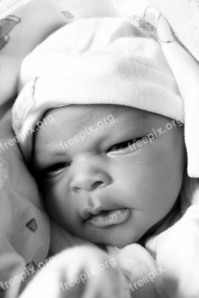 Newborn Baby Grayscale Cute Baby Lovely Child