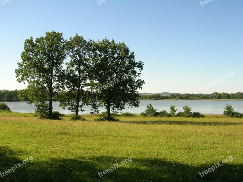 Nature Pond Water Still Life Trees Sky