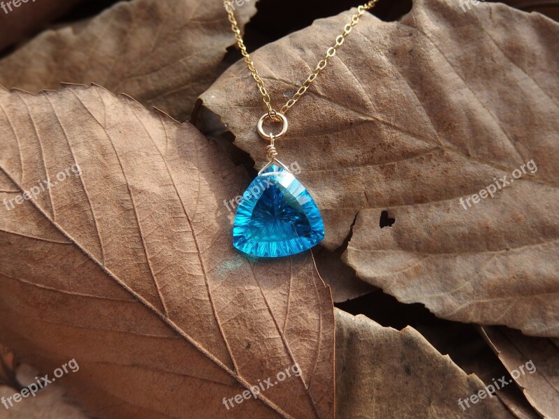 Jewelry Blue Fallen Leaves Free Photos