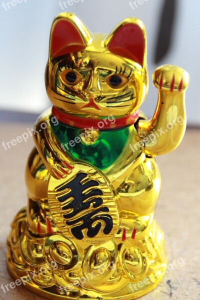 Happiness China Cat Funny Cat Animal