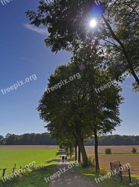 Autumn Walk Lane Landscape Nature Fields