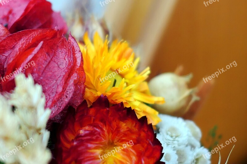 Dry Bouquet Autumn Flowers Wreath Deco