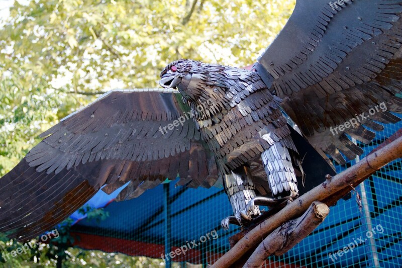 Iron Eagle Bird Park Feathers