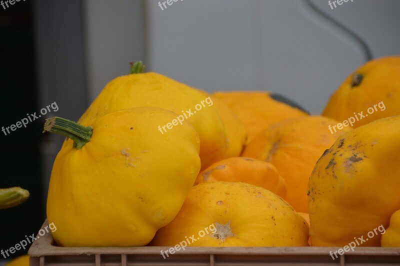 Winter Squash Fruit Genus Cucurbita Food Fall