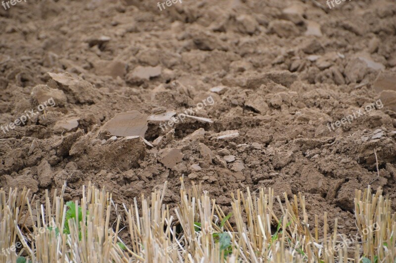 Earth Labour Culture Straw Wheat