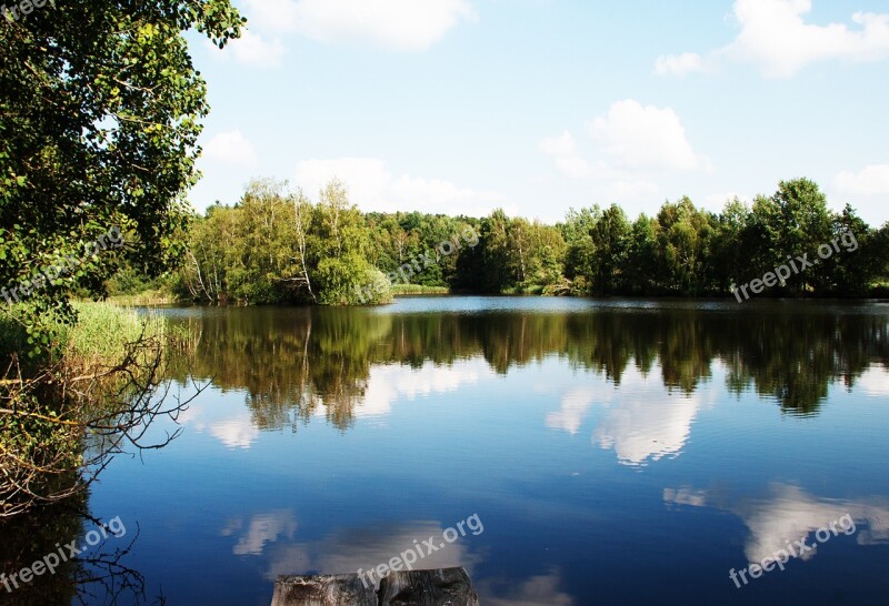 Pond Water Mirroring Pond Plant Free Photos