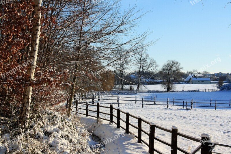 Snow Landscape Wintry Cold Trees Pasture Fences