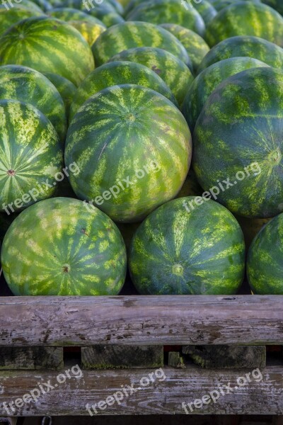 Watermelons Pile Fresh Ripe Market