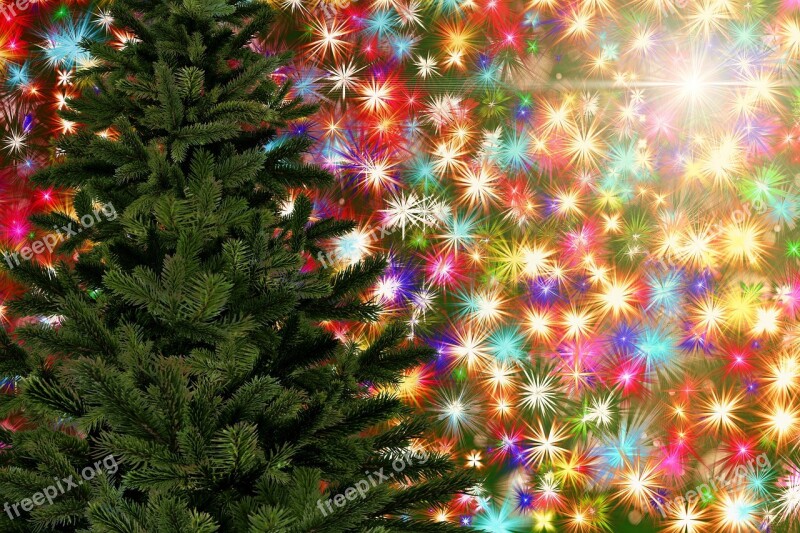 Christmas Tree Fir Tree Star Colorful