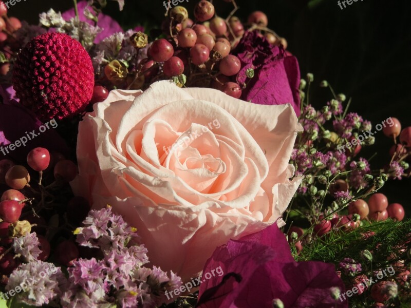 Flowers Rose Floral Arrangement Pink Floral