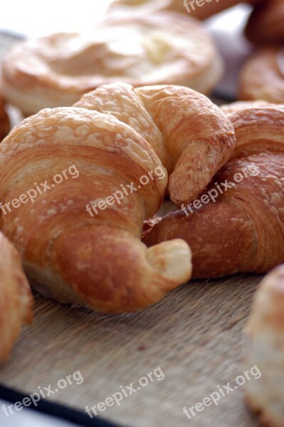 Croissant Background Delicious Tasty Free Photos