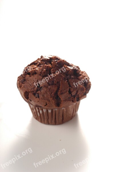 Chocolate Muffin Cupcakes Bakery Free Photos