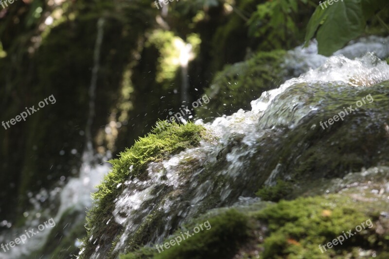 Water Green Nature Landscape Summer