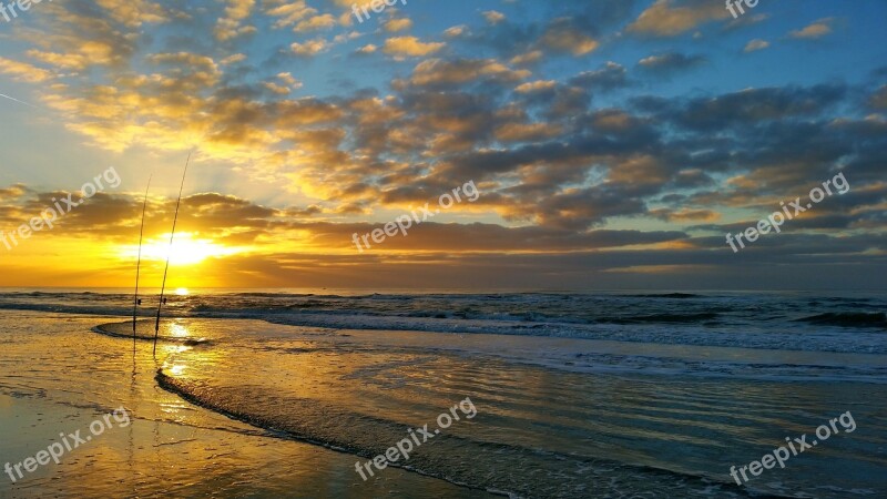 Fish North Sea Sea Angler Free Photos