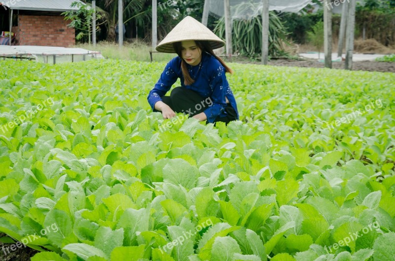 Girl Farmer The Cultivation Clean Vegetables Reform