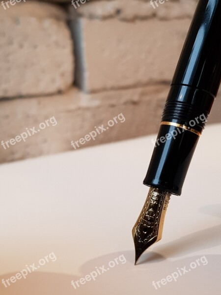 Pen Fountain Pen Black Gold Sailor