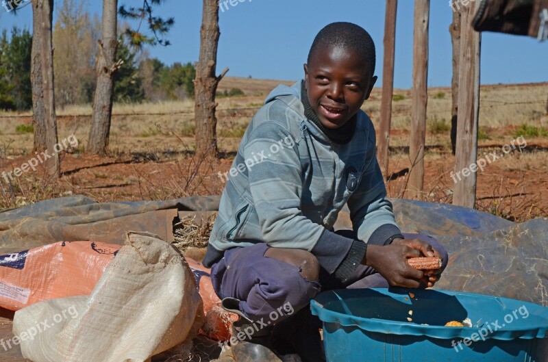 Boy Africa Child Young Portrait