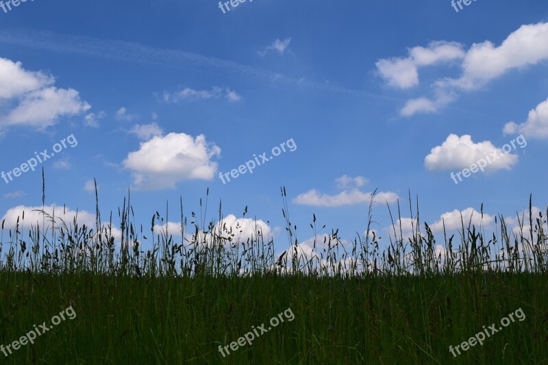 Background Horizon Sky Clouds Mood