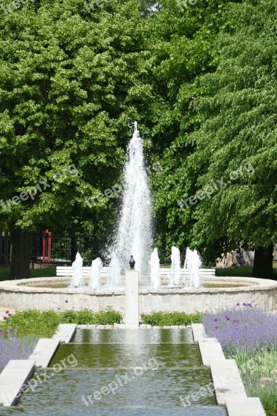 Park Water Feature Plant Bach Water Basin