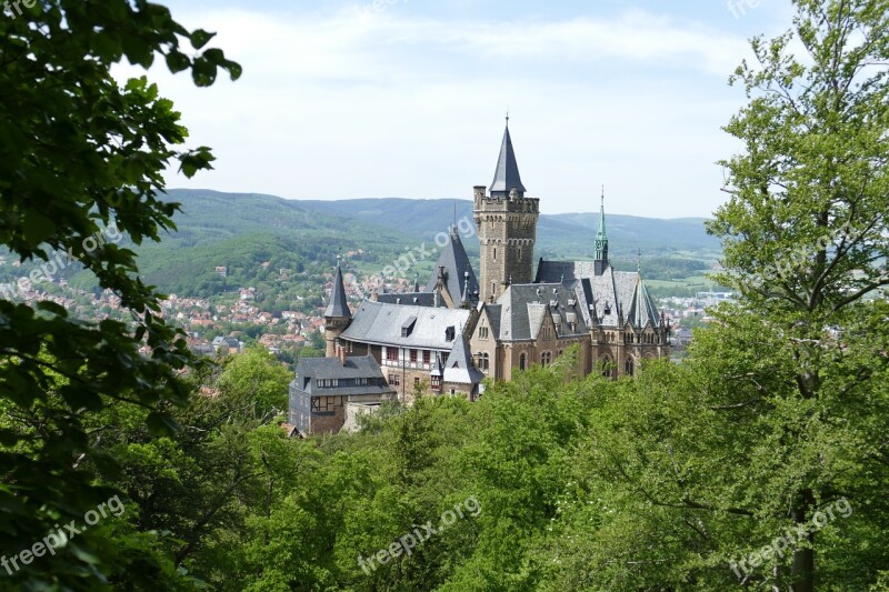 Castle Wernigerode Forest Nature Middle Ages