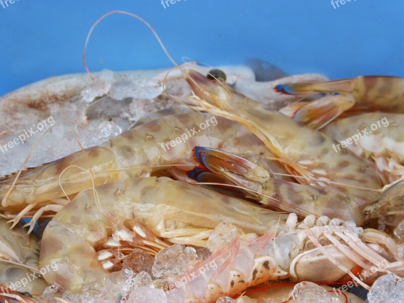 King Prawns Fresh Fish Mediterranean Diet Free Photos