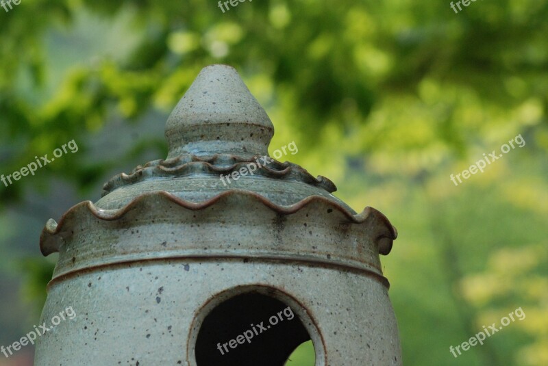 Spring Relief Structures Greenery Background