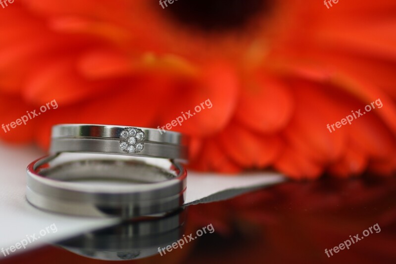 Rings Flowers Wedding Love Romance