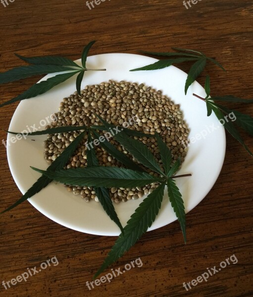 Cannabis Seeds Hemp Seeds Food Ingredient Hemp