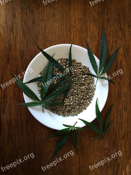 Hemp Seeds Sativa Food Hemp Protein